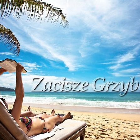 Zacisze Grzybowo Leilighet Grzybowo  Eksteriør bilde